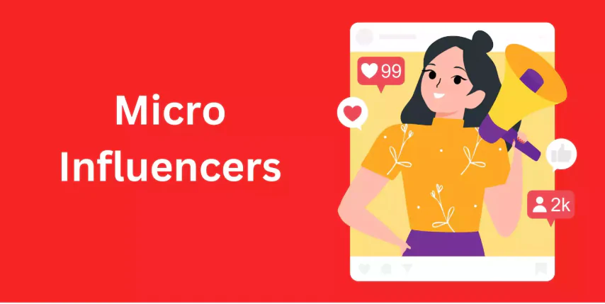 Understanding Micro-Influencers